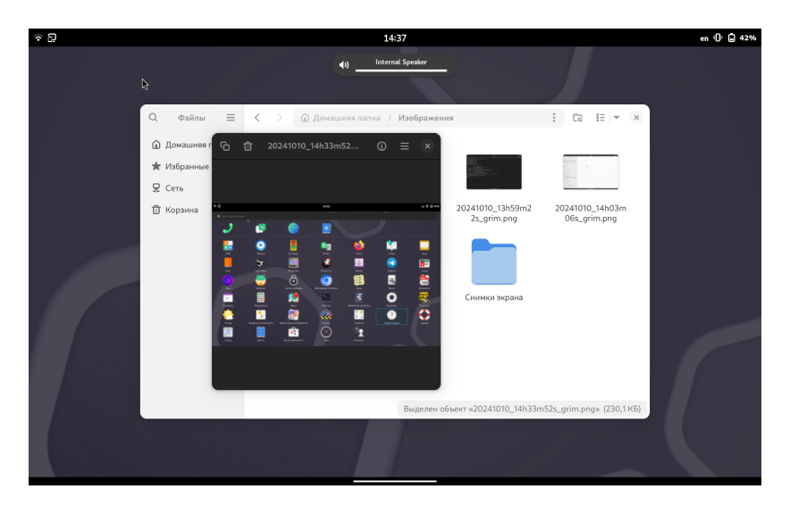 ALT Mobile 17